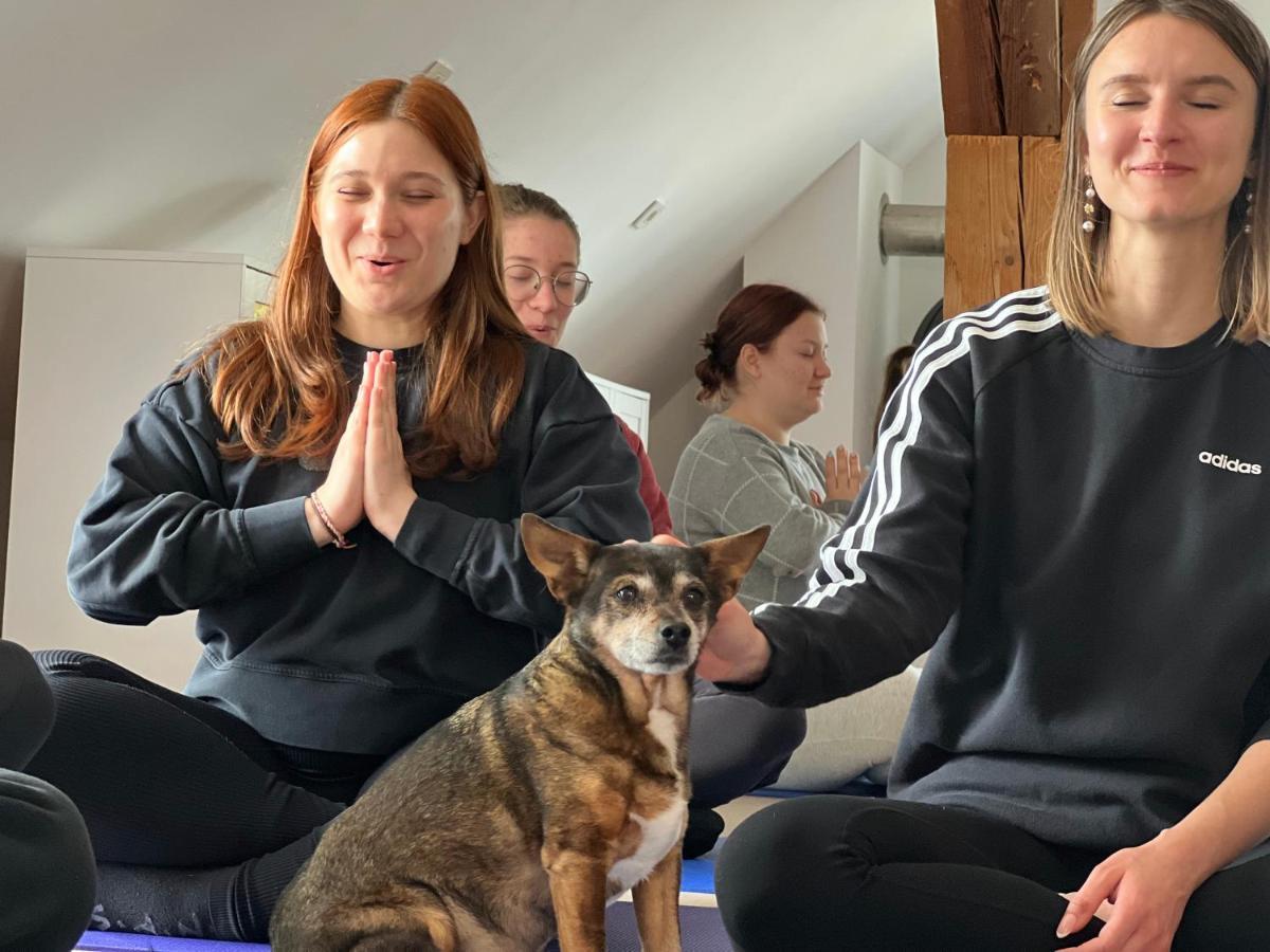 斯洛文斯卡比斯特里卡Om Yoga Center公寓 外观 照片